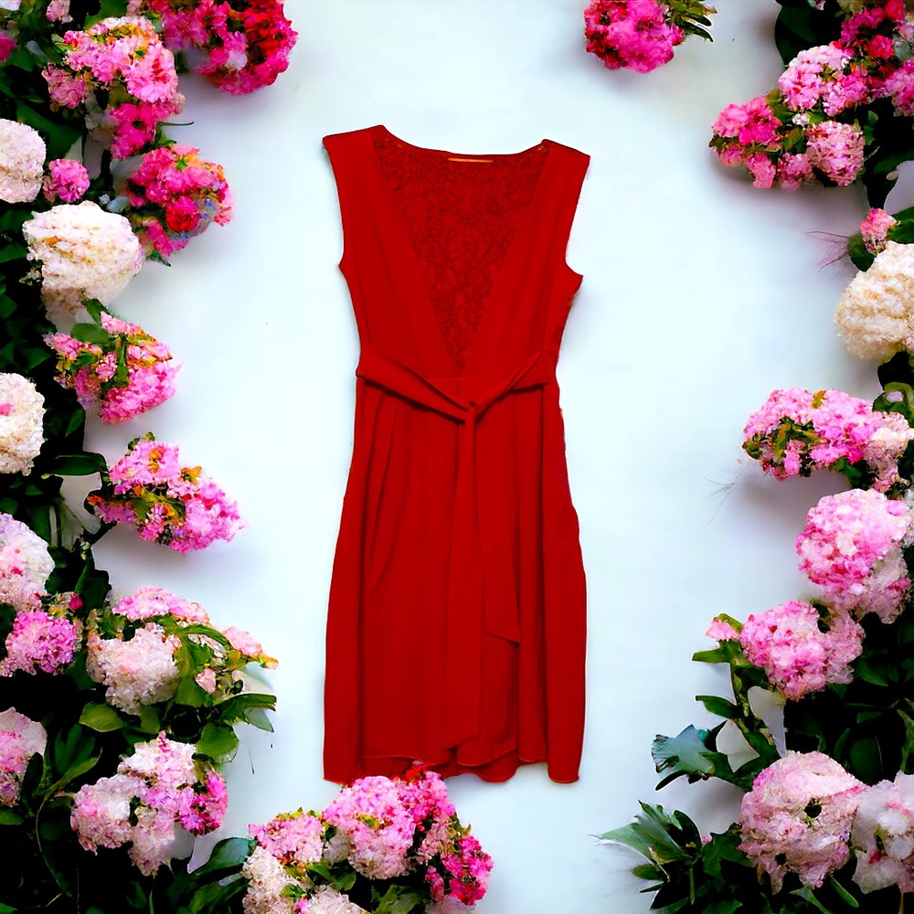 Little red dress